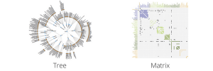 different data representation techniques