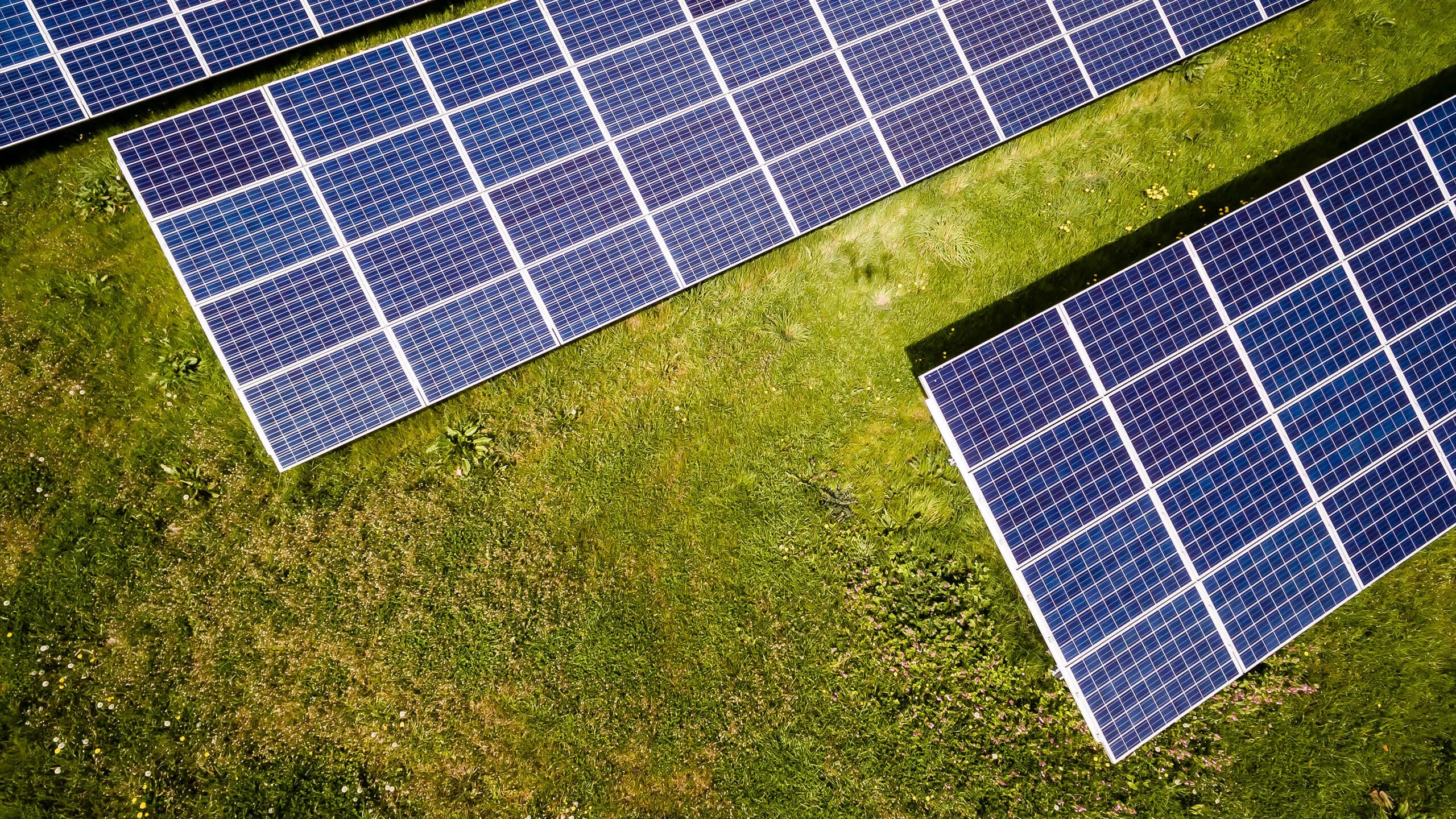 energy management iot solar energy management