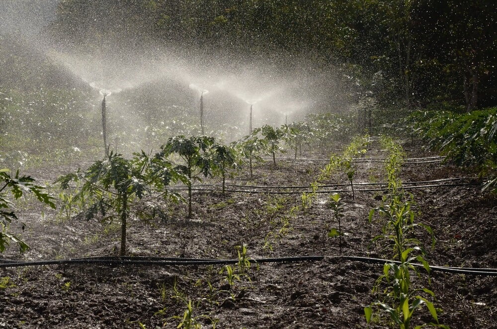 IoT irrigation system small sprinklers IoT irrigation system