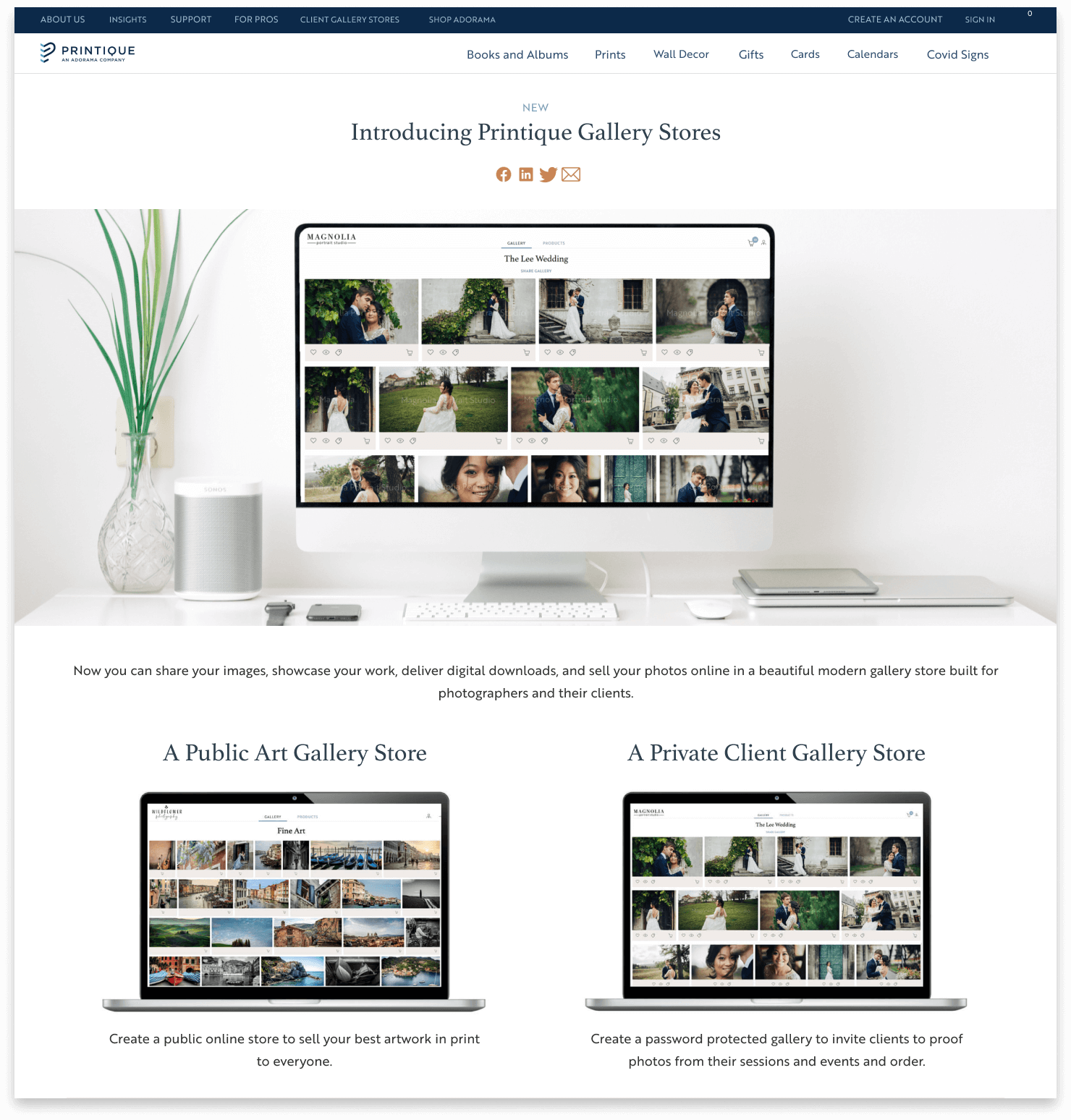 website redesign services