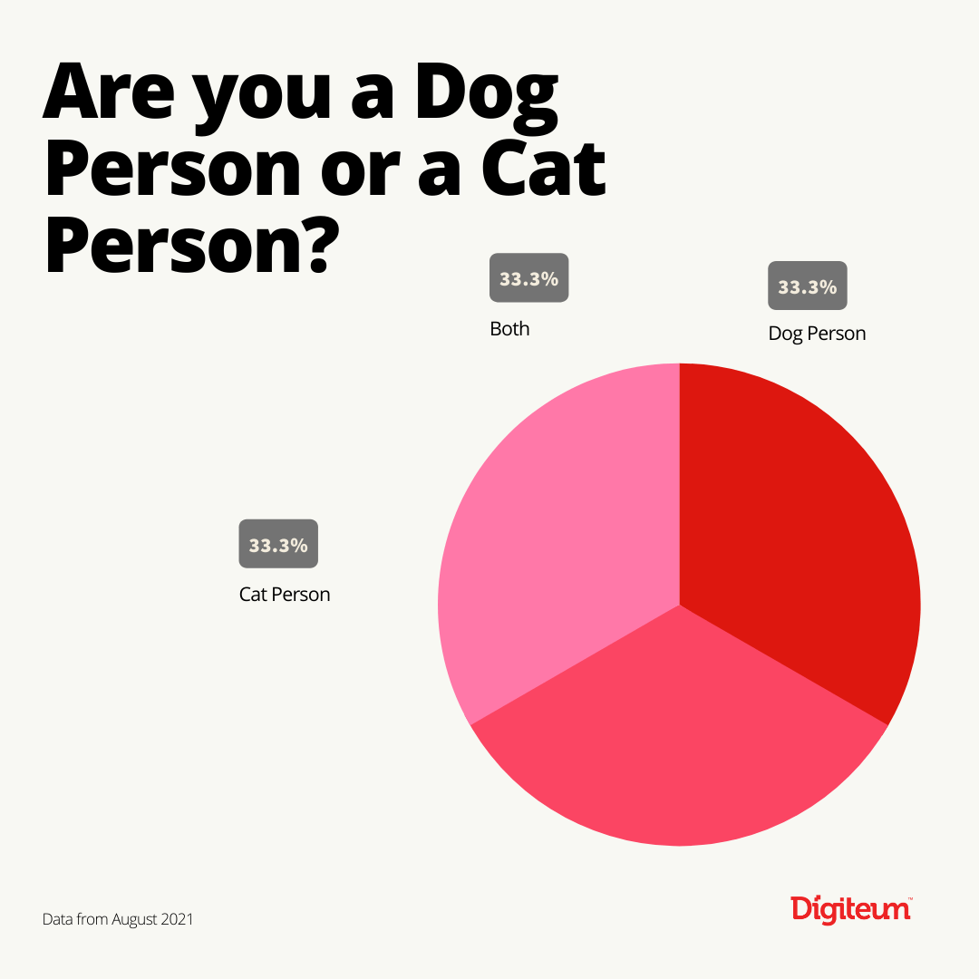 cat dog person stats survey stats