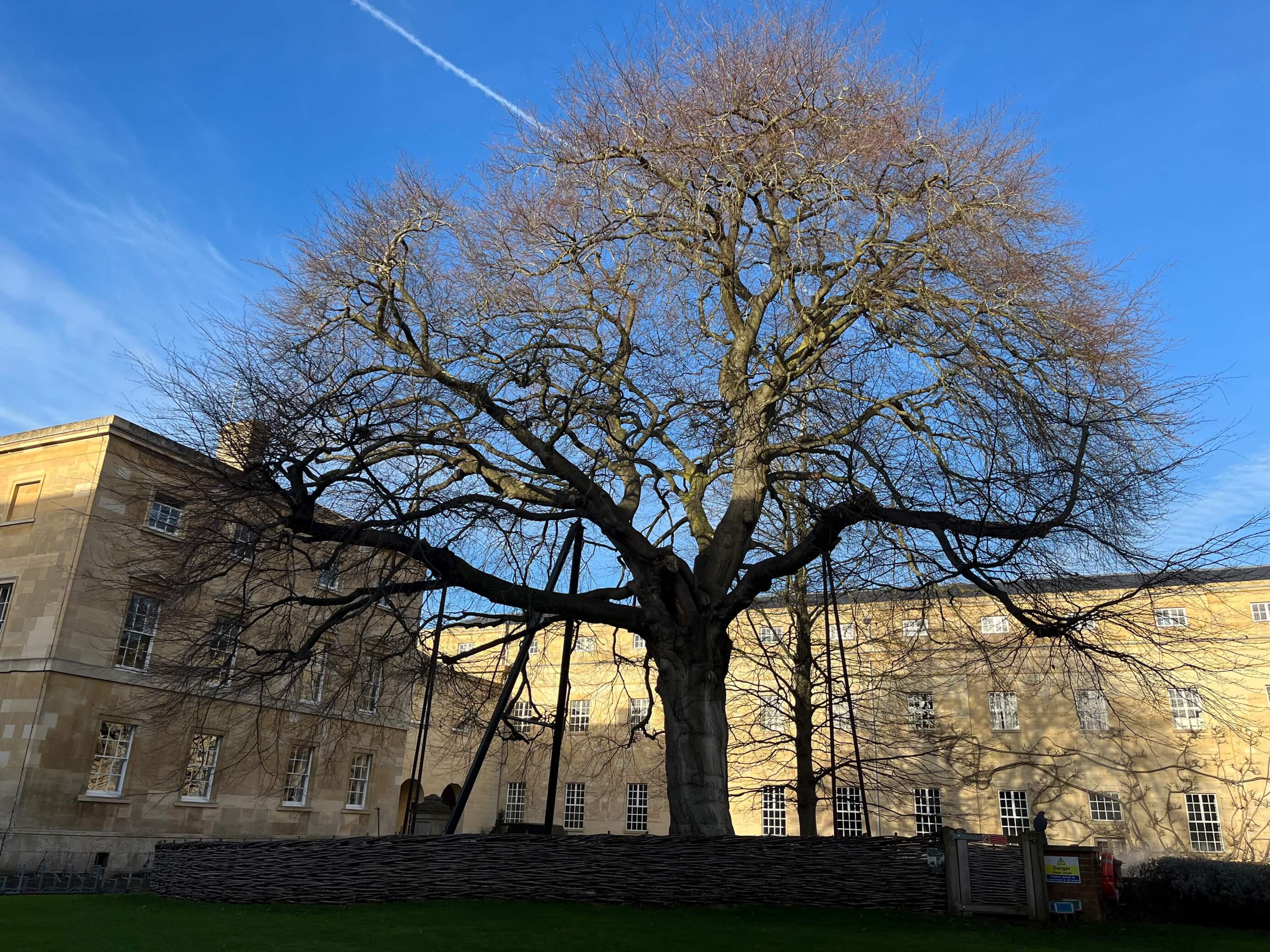 Oxford Tree Oxford trip